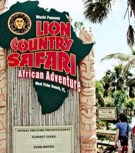 Lion Country Safari