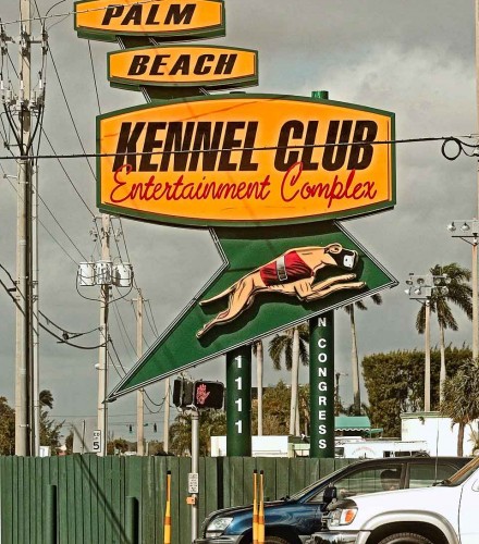 Palm Beach Kennel Club