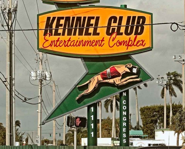 Palm Beach Kennel Club